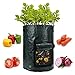 Algopix Similar Product 3 - ANPHSIN 4 Pack 10 Gallon Garden Potato