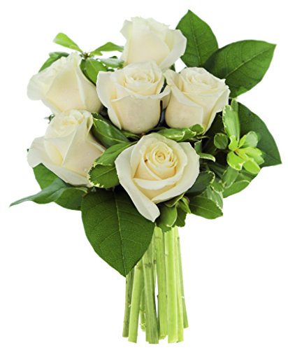 Algopix Similar Product 11 - KaBloom Lilly Pad White Roses 6 White