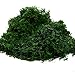 Algopix Similar Product 13 - Byher 92926 Preserved Forest Moss