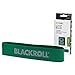 Algopix Similar Product 18 - BLACKROLL Unisexs Exercise Fitness