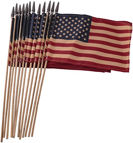 Algopix Similar Product 14 - Set of 12 Bulk Primitive American