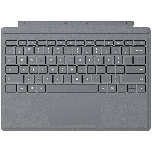 Algopix Similar Product 7 - Microsoft Surface Pro Signature Type