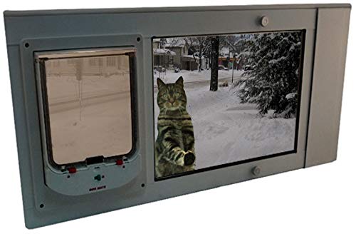 Algopix Similar Product 13 - Security Boss Animate Electronic