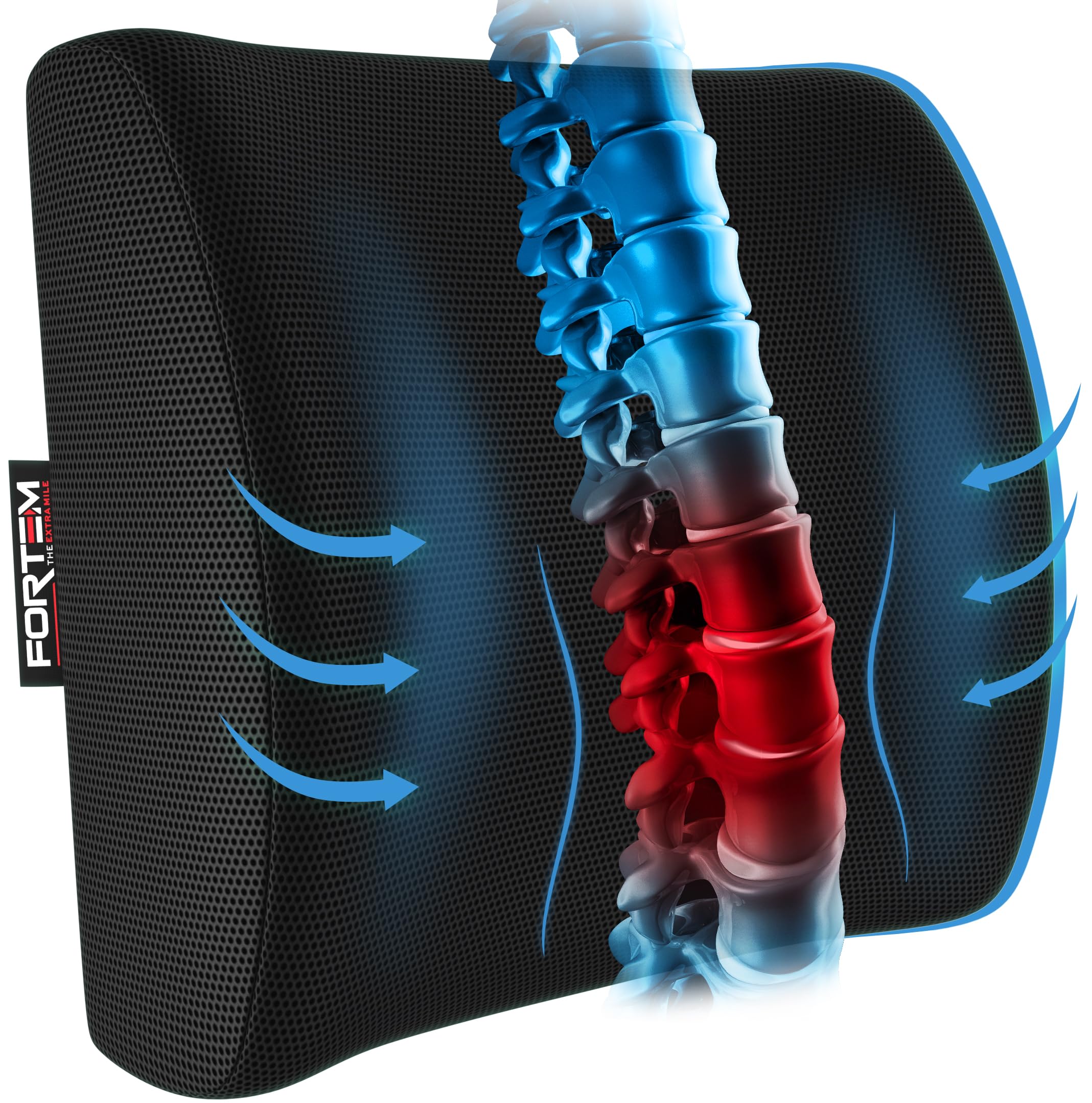 Algopix Similar Product 3 - FORTEM Lumbar Support Office Chair