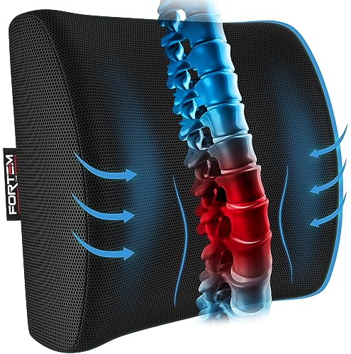 Algopix Similar Product 1 - FORTEM Lumbar Support Office Chair