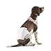 Algopix Similar Product 18 - Amazon Basics Male Dog Diapers 30