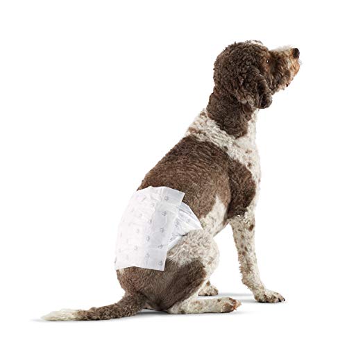 Algopix Similar Product 20 - Amazon Basics Male Dog Diapers 30