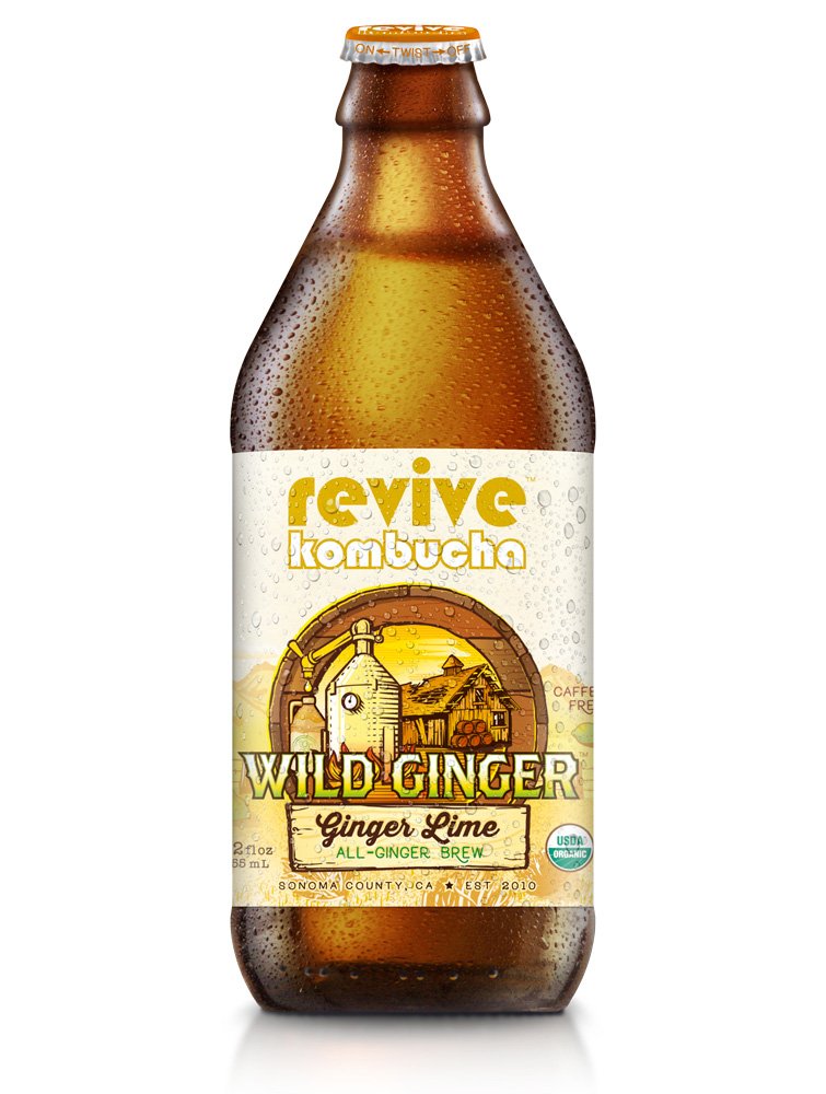 Algopix Similar Product 11 - Revive Kombucha Wild Ginger Kombucha
