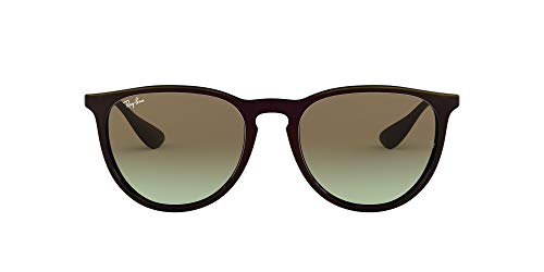 Algopix Similar Product 8 - RayBan RB4171 Erika Round Sunglasses