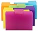 Algopix Similar Product 16 - Smead SuperTab Poly Plastic File