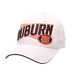 Algopix Similar Product 13 - NCAA Zephyr Auburn Tigers Mens
