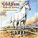 Algopix Similar Product 17 - Old Sam: Dakota Trotter