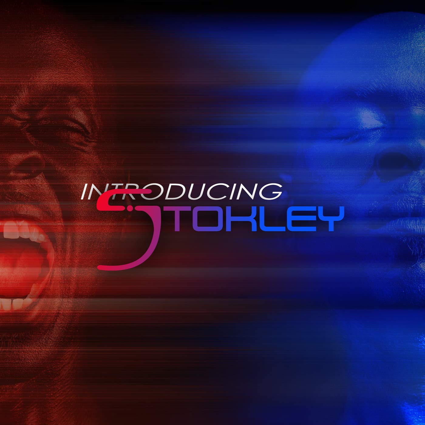 Algopix Similar Product 9 - Introducing Stokley