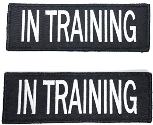 Algopix Similar Product 6 - Leashboss in Training Dog Patch for