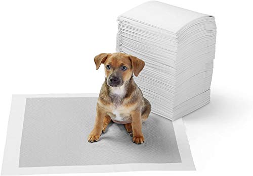 Algopix Similar Product 18 - Amazon Basics OdorControl Carbon Dog