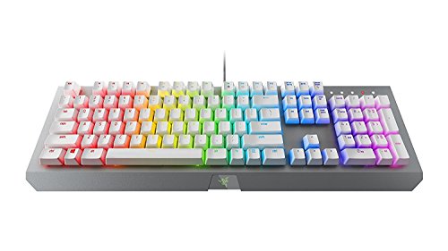 Algopix Similar Product 12 - Razer BlackWidow X Chroma Mechanical