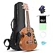 Algopix Similar Product 12 - Ukelele Hricane Concert Ukulele 23inch