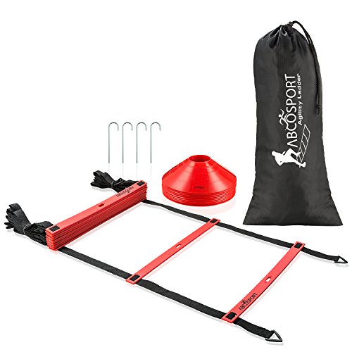 Algopix Similar Product 6 - Abco Tech Agility Ladder with 10 Rungs