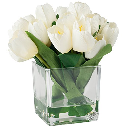 Algopix Similar Product 20 - Pure Garden 85 Tulip Floral Cream