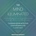 Algopix Similar Product 20 - The Mind Illuminated A Complete