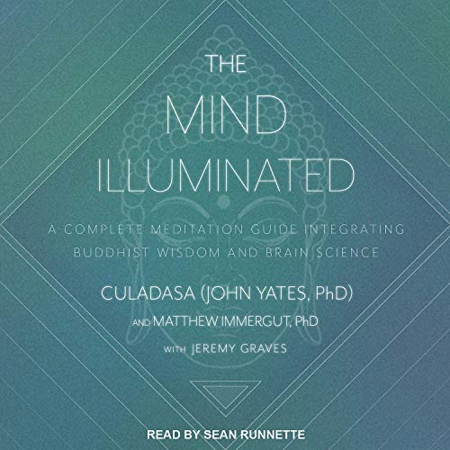 Algopix Similar Product 13 - The Mind Illuminated A Complete