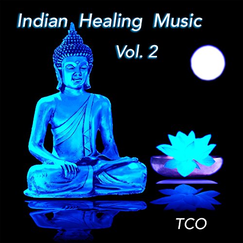 Algopix Similar Product 6 - Indian Healing Music Vol 2 Indian