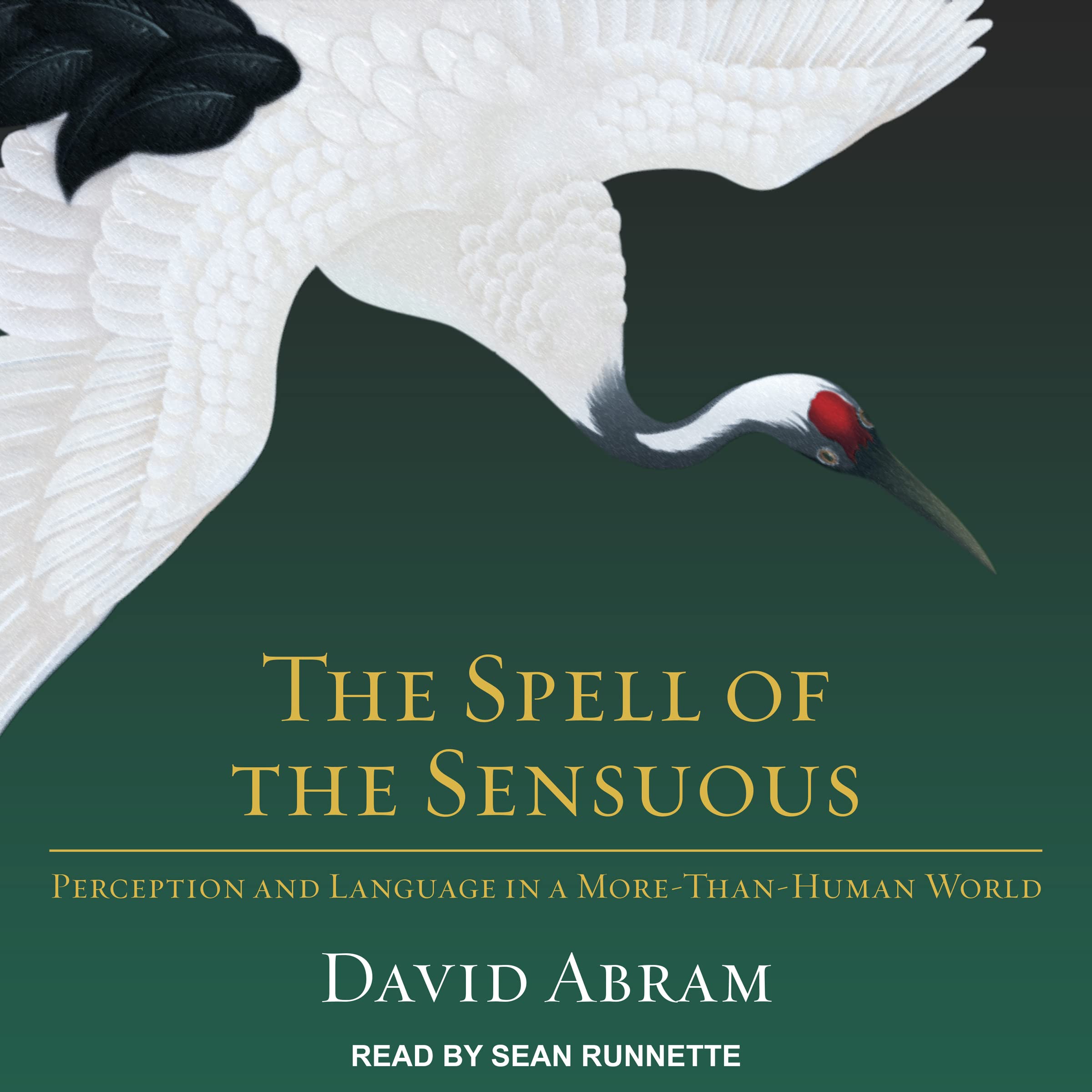 Algopix Similar Product 6 - The Spell of the Sensuous Perception