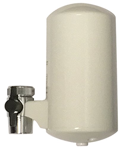 Algopix Similar Product 3 - Paragon Faucet Mount Filter, White