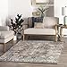Algopix Similar Product 20 - nuLOOM Vintage Corene Flora Area Rug