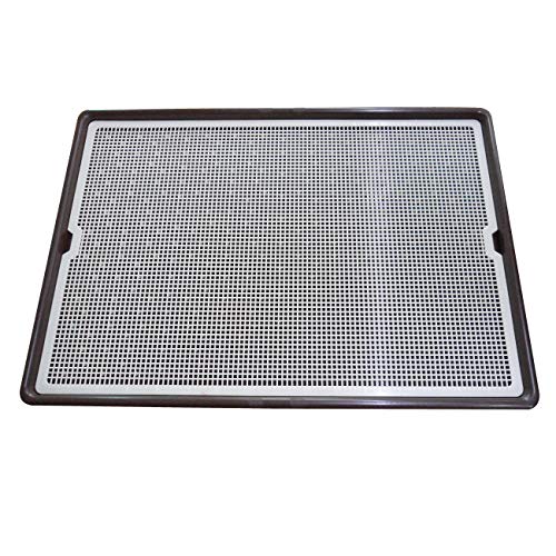 Algopix Similar Product 7 - Pet Time Grand Dog Toilet Pet Dog Cat