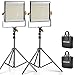 Algopix Similar Product 17 - Neewer 2 Packs Dimmable Bi Color 480