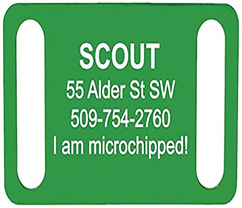 Algopix Similar Product 19 - GoTags Pet ID Personalized SlideOn