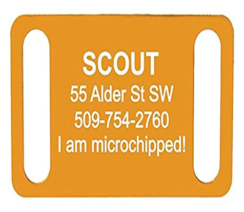 Algopix Similar Product 10 - GoTags Pet ID Personalized SlideOn