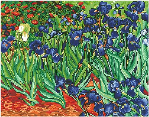 Algopix Similar Product 3 - Diamond Dotz Irises Van Gogh Diamond