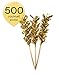 Algopix Similar Product 1 - Simply Baked Cocktail Pick 500 Pack