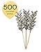 Algopix Similar Product 4 - Simply Baked Cocktail Pick 500 Pack
