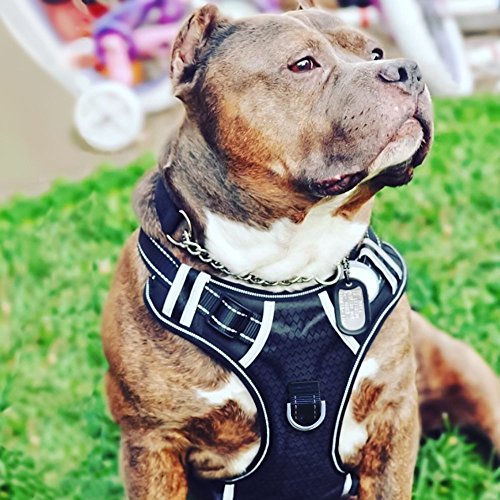 Algopix Similar Product 15 - Big Dog Harness No Pull Adjustable Pet