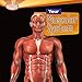 Algopix Similar Product 9 - Your Muscular System