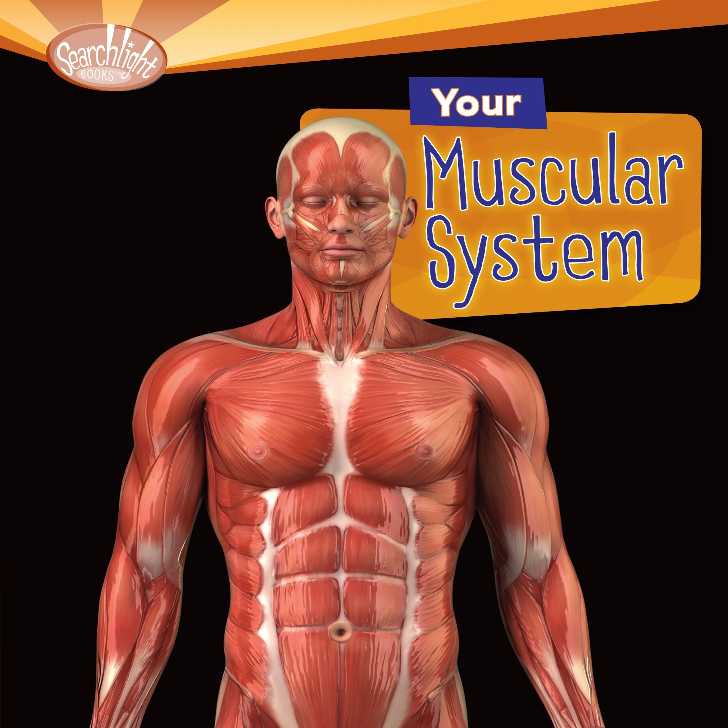 Algopix Similar Product 6 - Your Muscular System
