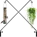 Algopix Similar Product 9 - Gray Bunny Extended Bird Feeder Pole 
