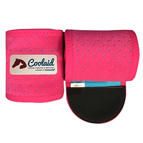 Algopix Similar Product 10 - Coolaid Equine Premium Icing and