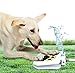 Algopix Similar Product 8 - Trio Gatos Outdoor Dog Water Fountain