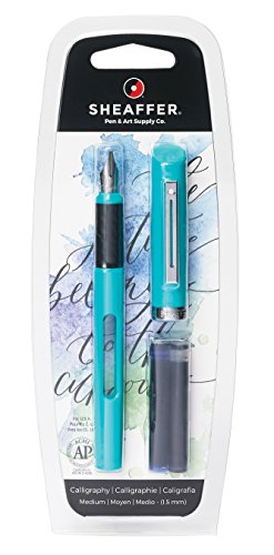 Algopix Similar Product 10 - Sheaffer Viewpoint Calligraphy Fountain
