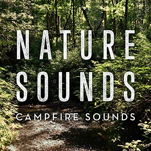Algopix Similar Product 14 - Campfire Sounds