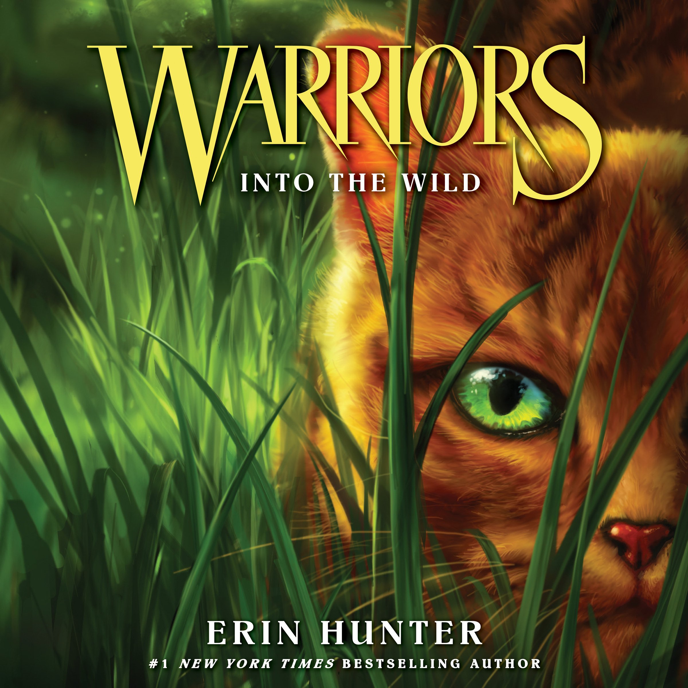 Algopix Similar Product 14 - Into the Wild: Warriors, Book 1