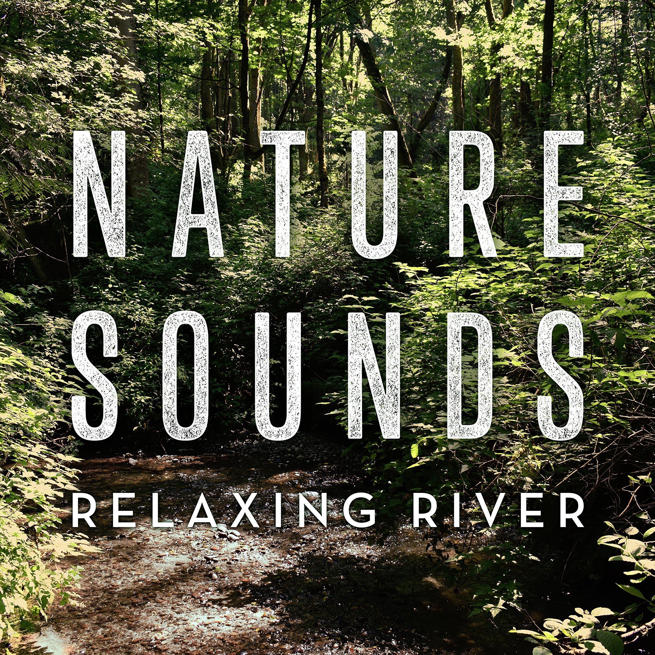 Algopix Similar Product 14 - Relaxing River