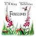 Algopix Similar Product 13 - Foxgloves (Onion Custard Kids)