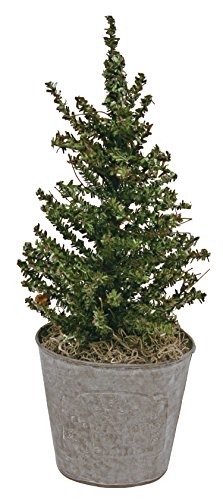 Algopix Similar Product 1 - Great Finds PT001 Primitive Christmas