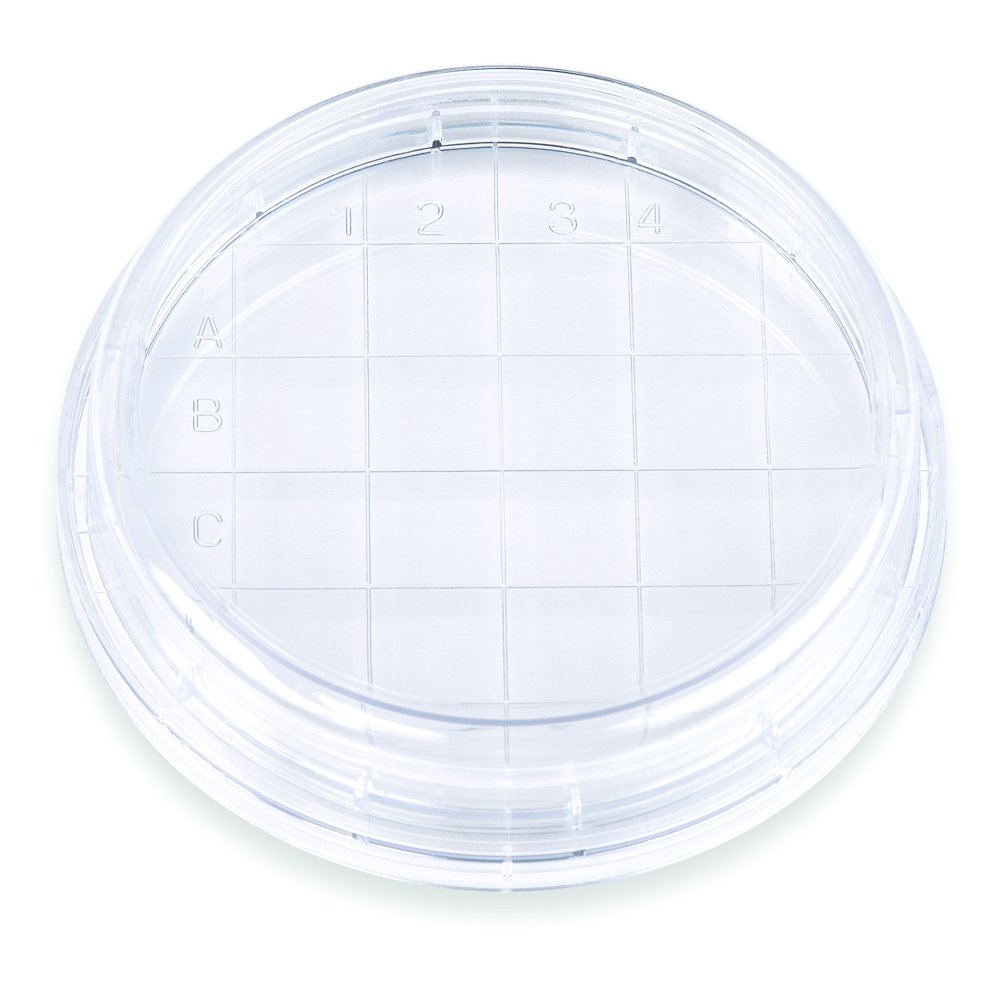 Algopix Similar Product 1 - Petri Dish with Counting Grid