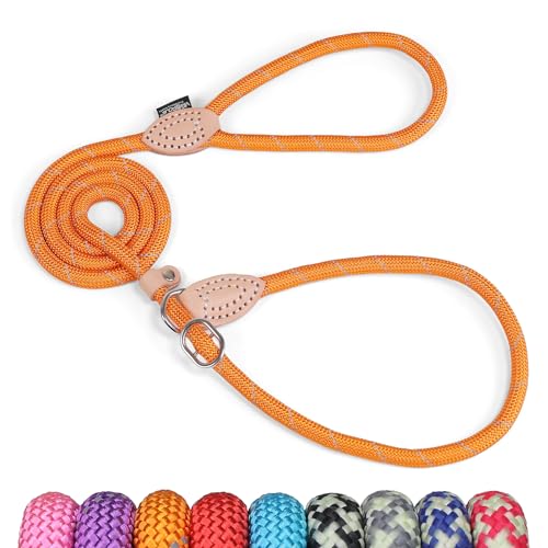Algopix Similar Product 18 - Grand Line Slip Lead Dog Leash  No